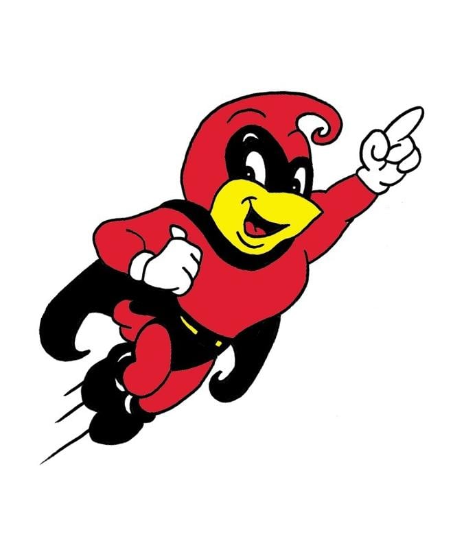 super cardinal flying