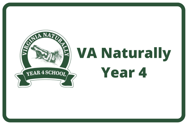 Spotted Skunk with Virginia Naturally Year 4 School
